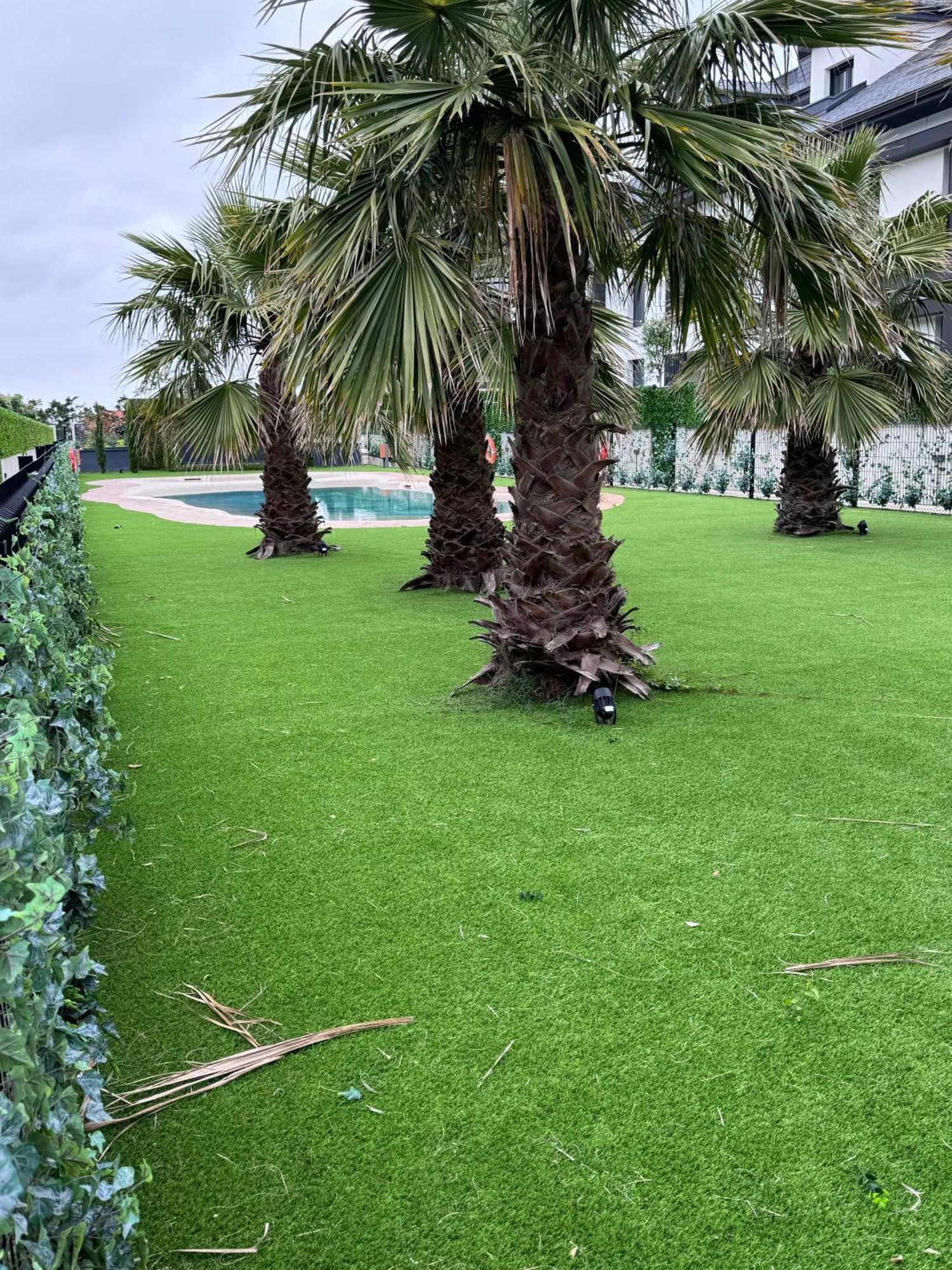 Apartamento Con Jardin Long Beach Loredo Exterior foto